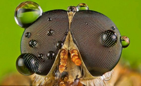 article 0 154E58C2000005DC 813 634x415