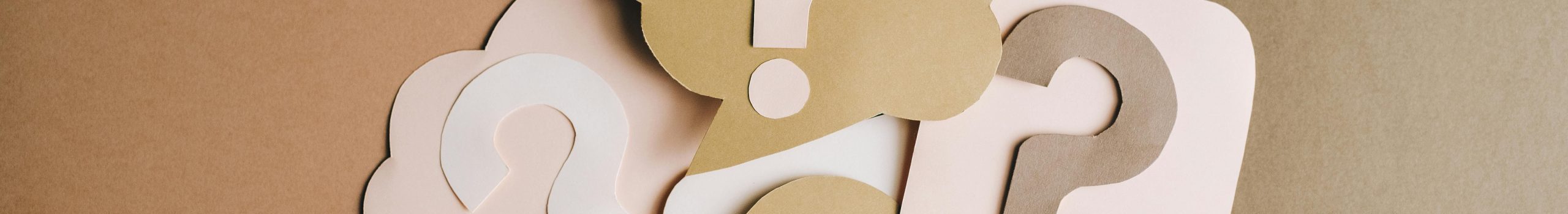 pexels photo 5428829